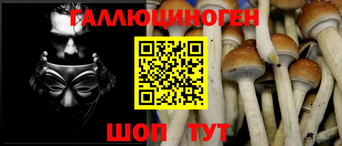 Сергиев Посад  Псилоцибиновые грибы мухоморы  что такое наркотик  Вход с VPN 